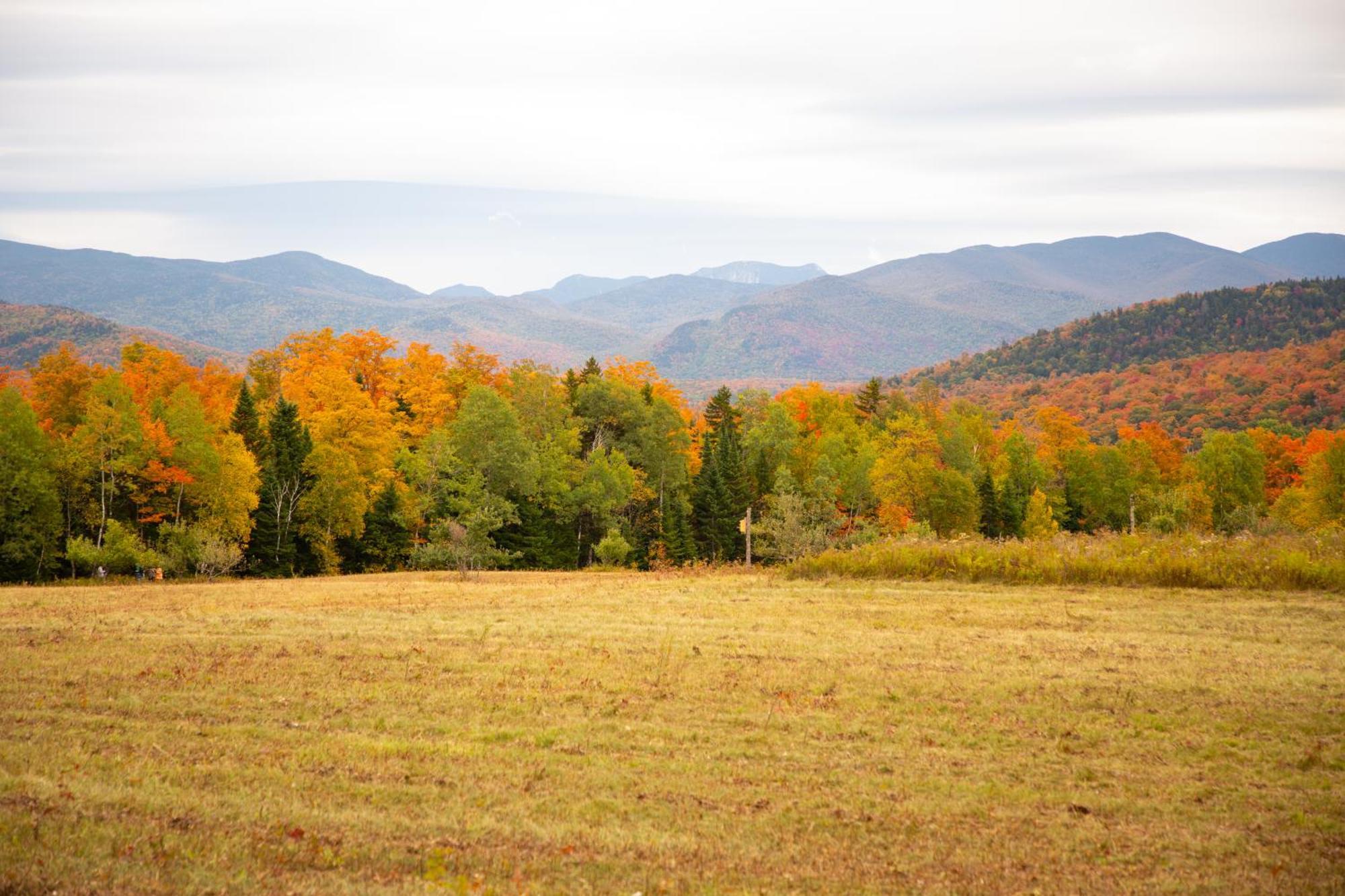 Lake Placid Inn: Main Street 외부 사진